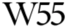 W55 project logo