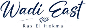wadi-east-logo-navy